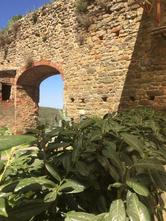 Ferienwohnung Mansarda Degli Ulivi Rigomagno Exterior foto
