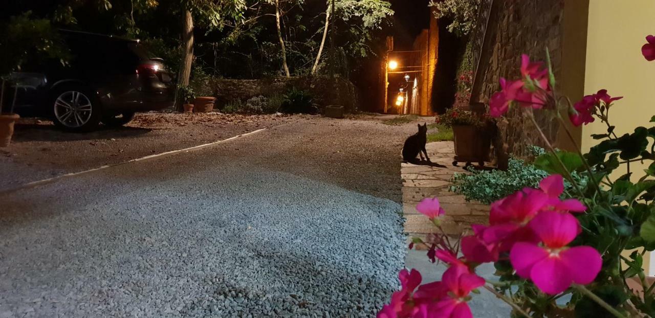 Ferienwohnung Mansarda Degli Ulivi Rigomagno Exterior foto
